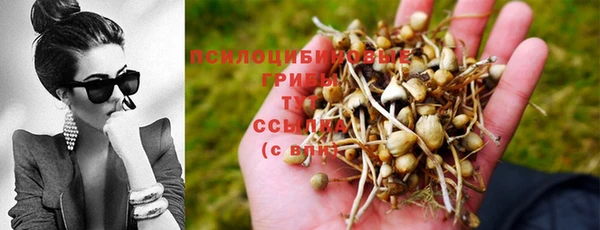 mdpv Абдулино