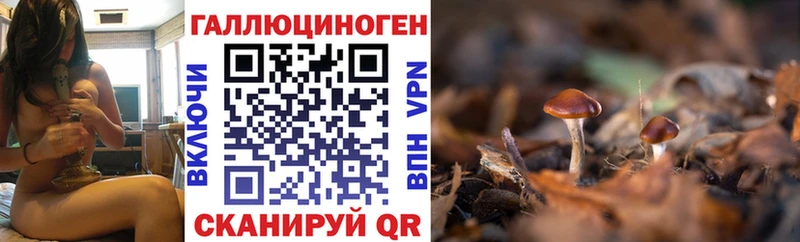Галлюциногенные грибы Magic Shrooms  Усть-Катав 